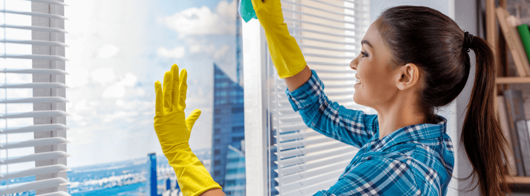 Window and Blind Cleaning: Let the Light In