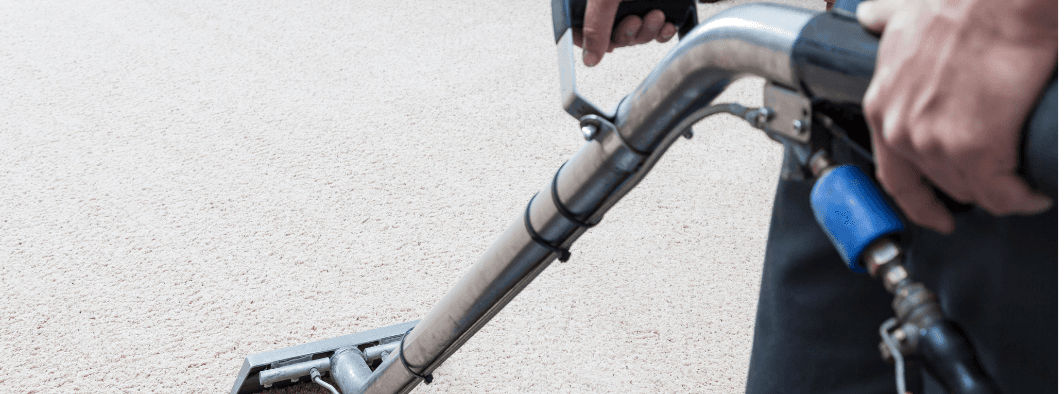 Steam Carpet Cleaning: The Gold Standard for Deep Clean Carpets